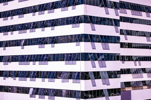 开云体育手机-中国篮球职业联赛青训体系建设与优化，中国青年篮球队